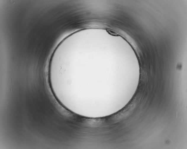 X0000103301195200809191846