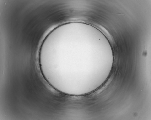 X0000103301196200809191846