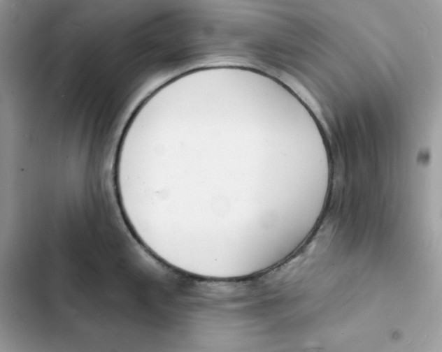 X0000103301197200809191846