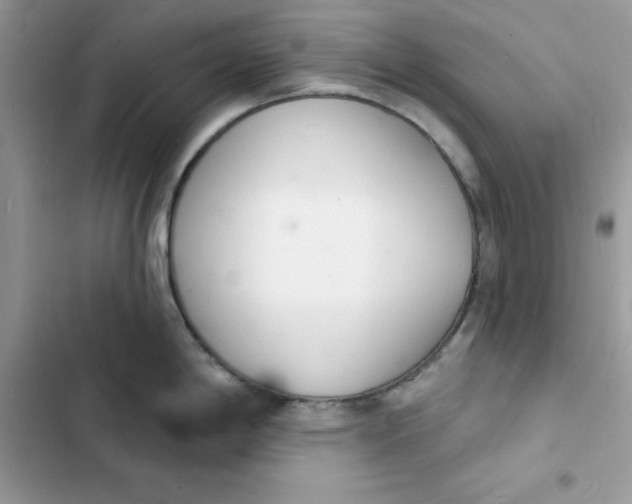 X0000103301198200809191846