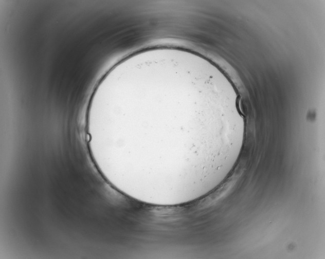 X0000103301199200809191846