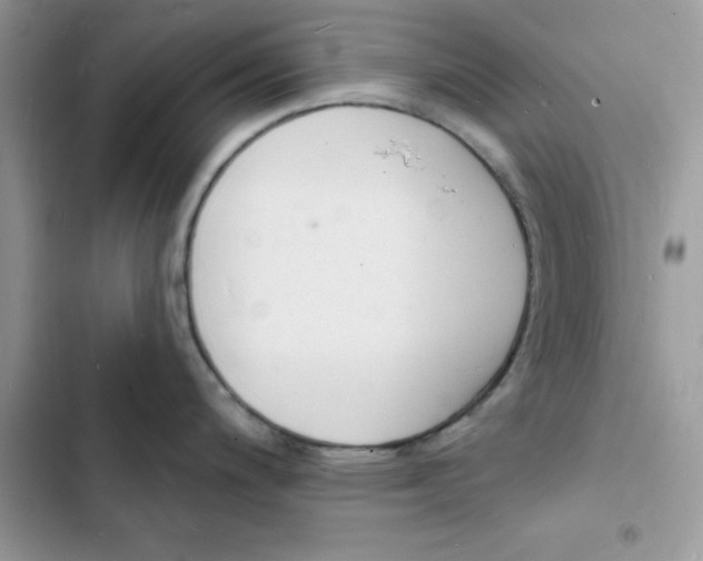 X0000103301200200809191846