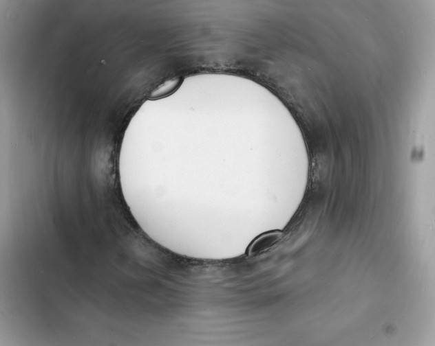 X0000103301202200809191846