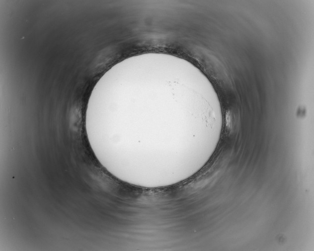 X0000103301203200809191846