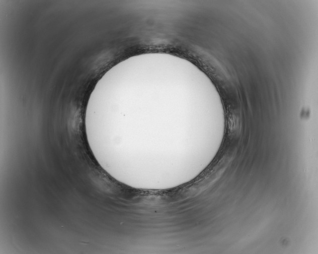 X0000103301204200809191846