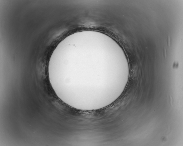 X0000103301205200809191846