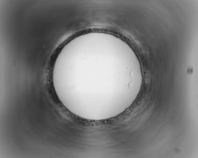 X0000103301208200809191846