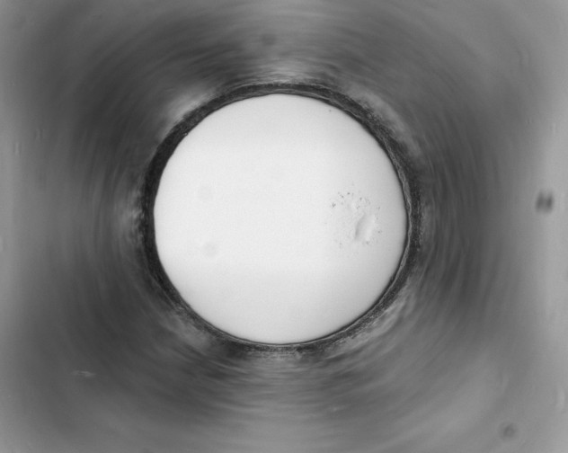 X0000103301210200809191846