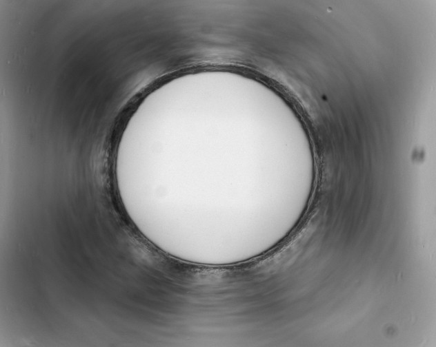 X0000103301211200809191846