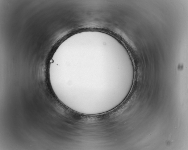 X0000103301213200809191846