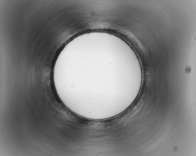 X0000103301217200809191846