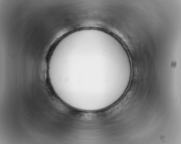 X0000103301219200809191846