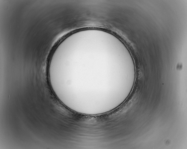 X0000103301222200809191846