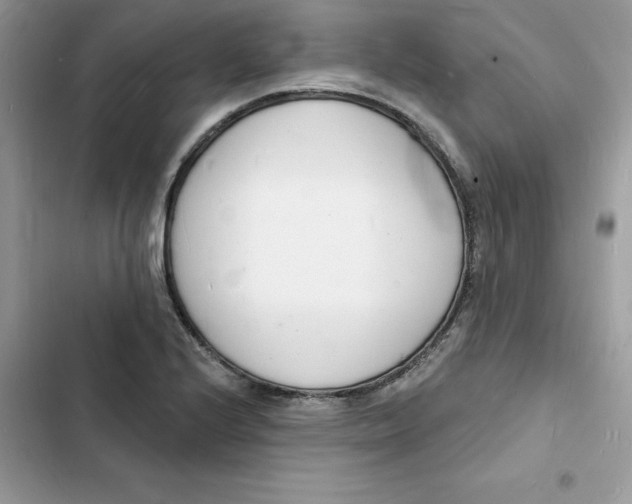 X0000103301224200809191846