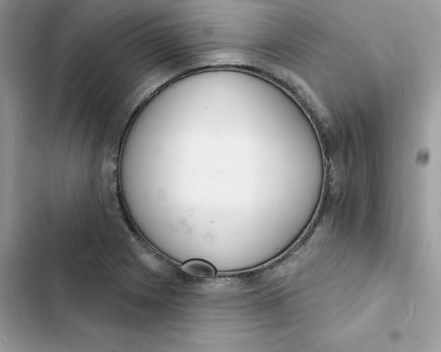 X0000103301225200809191846