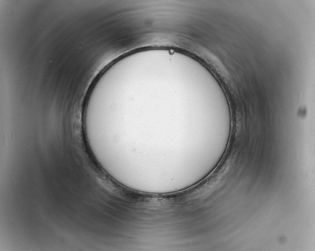 X0000103301226200809191846