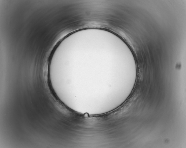 X0000103301227200809191846