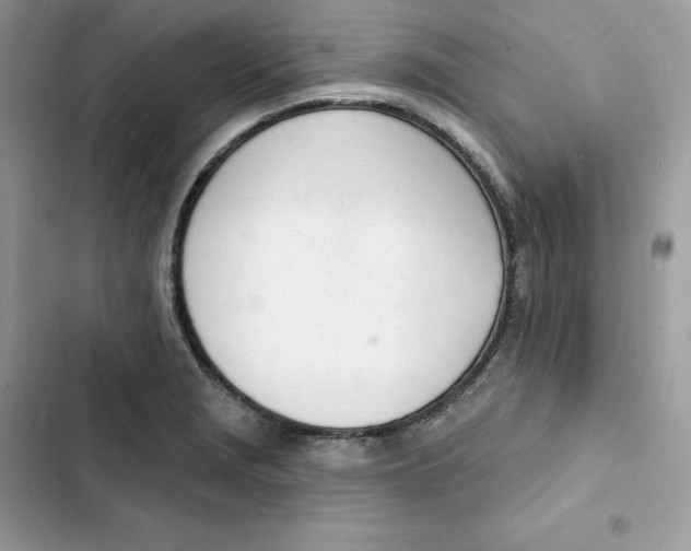 X0000103301229200809191846