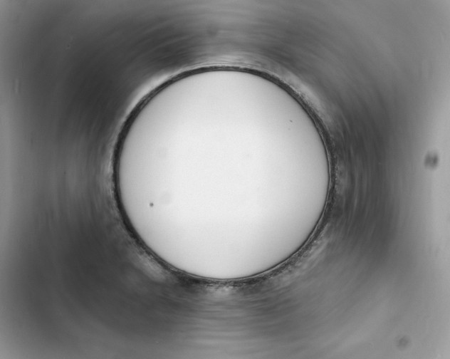 X0000103301230200809191846