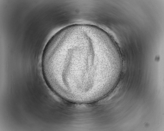 X0000103301231200809191846