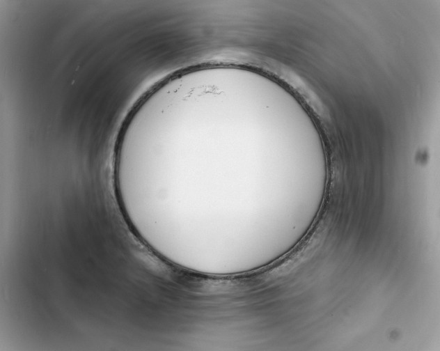 X0000103301232200809191846