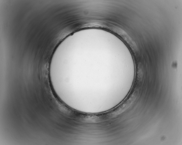 X0000103301233200809191846