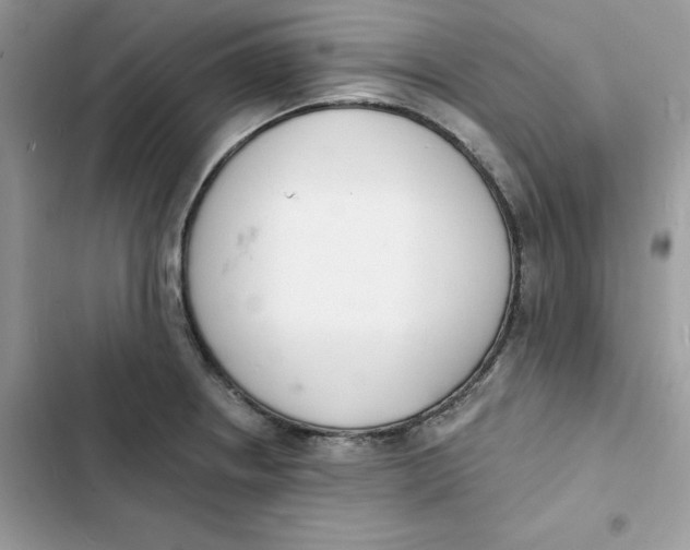 X0000103301234200809191846