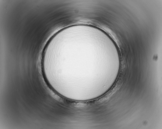 X0000103301235200809191846