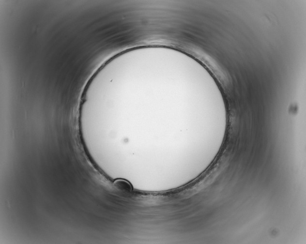 X0000103301236200809191846