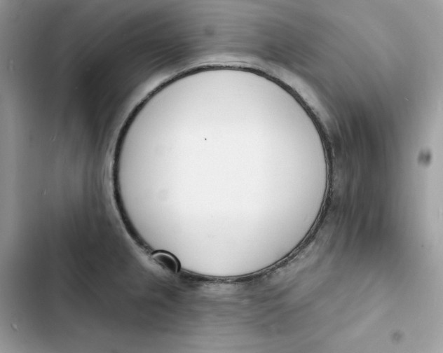 X0000103301237200809191846