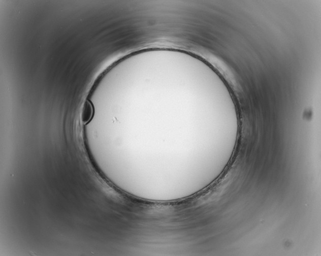 X0000103301238200809191846