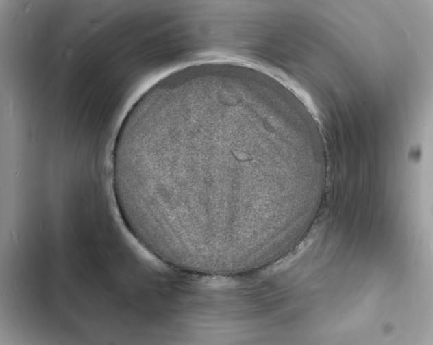 X0000103301239200809191846