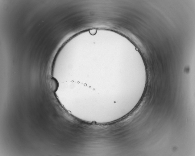 X0000103301240200809191846