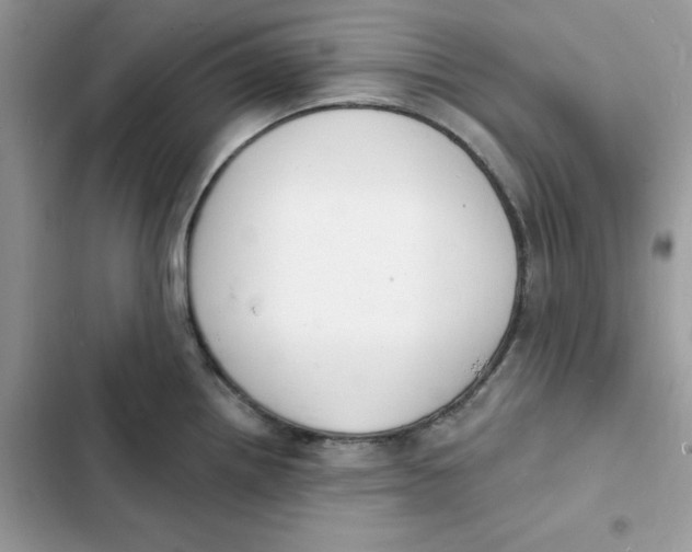 X0000103301242200809191846