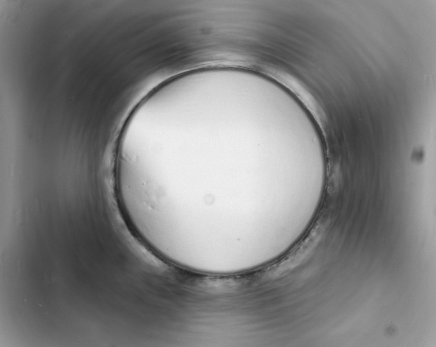 X0000103301243200809191846