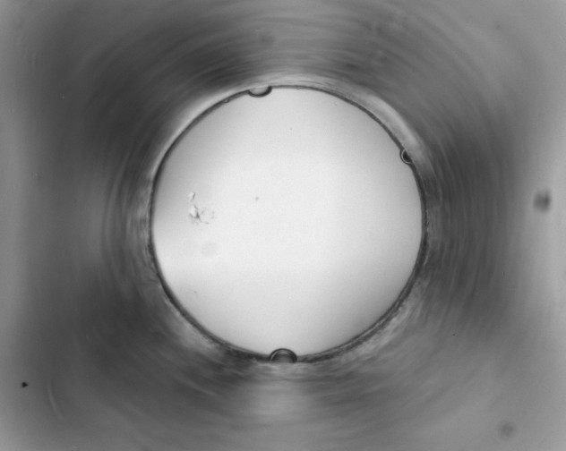 X0000103301244200809191846