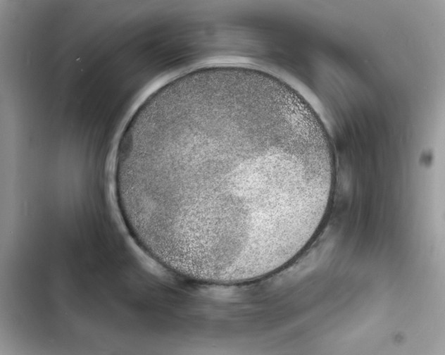 X0000103301245200809191846