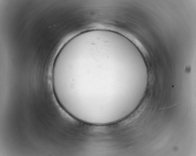 X0000103301247200809191846