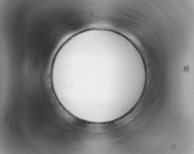 X0000103301248200809191846