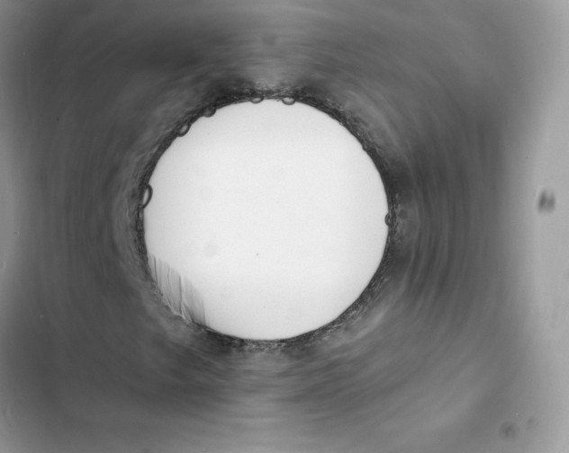 X0000103301249200809191846