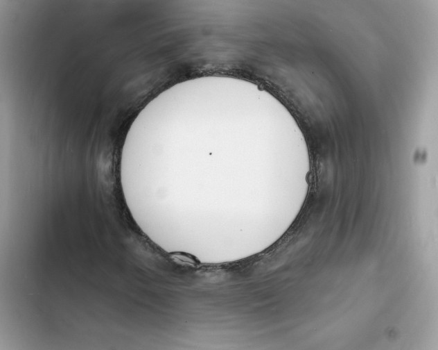 X0000103301250200809191846