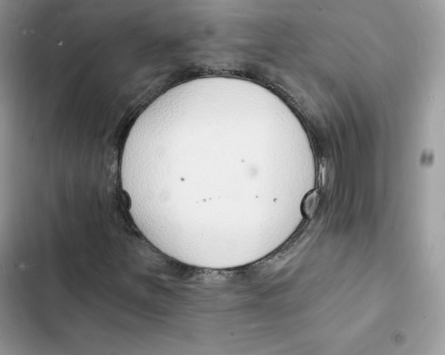 X0000103301251200809191846