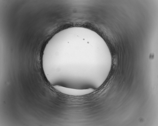 X0000103301252200809191846