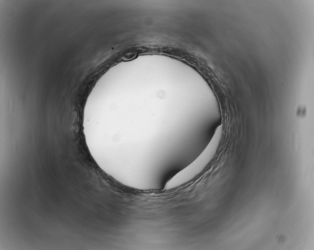 X0000103301253200809191846