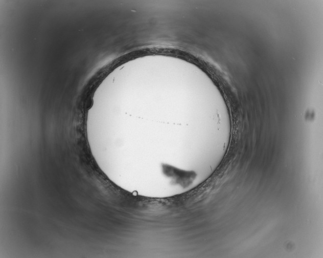 X0000103301255200809191846