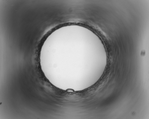 X0000103301256200809191846