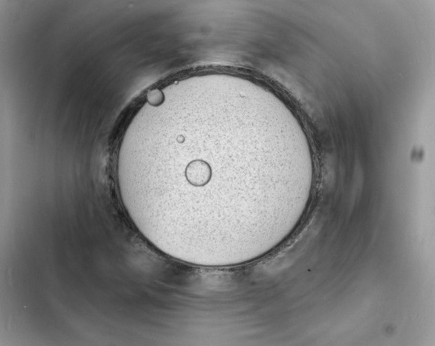 X0000103301258200809191846