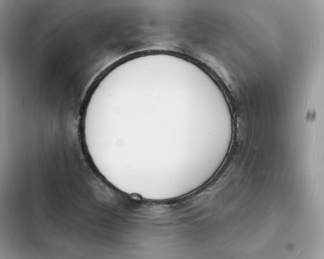 X0000103301260200809191846