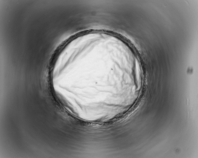 X0000103301263200809191846