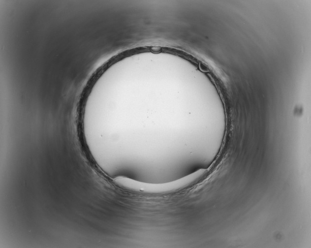 X0000103301264200809191846